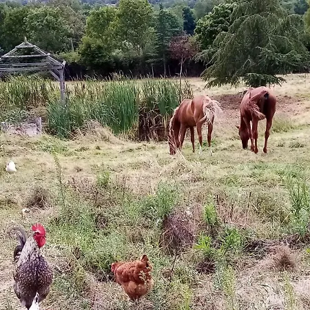 De Magneux - Spa/jacuzzi * Vezelin-sur-Loire
